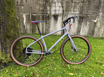 Surly Grappler