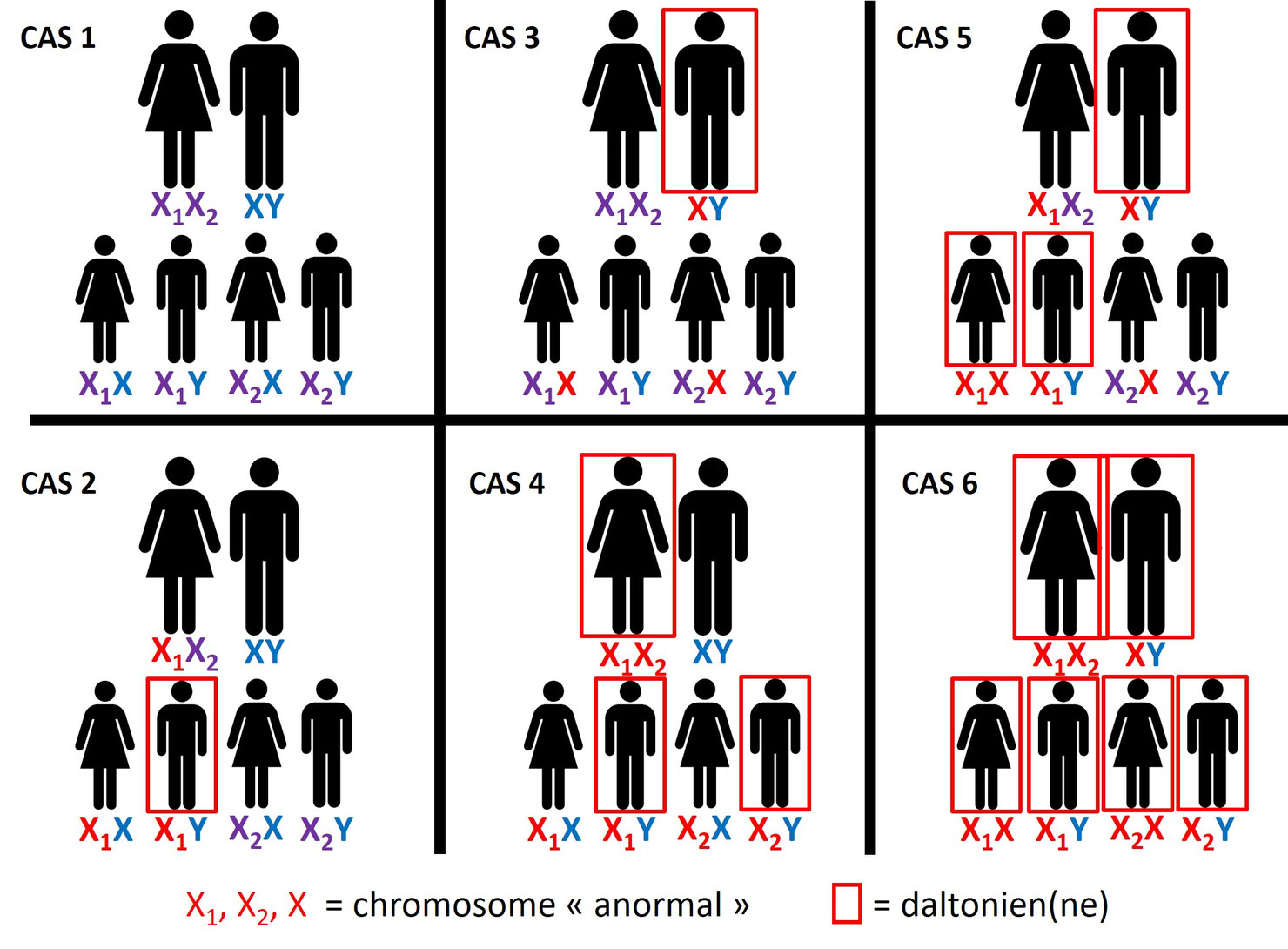 Le daltonisme - 1,2,3 Couleurs ! Expériences scientifiques et boutique