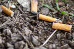 Rauchen im Wald - Zigaretten - Zigarettengippen - Brandgefahr - Waldbrandgefahr - Umwelt - Natur - Tiere