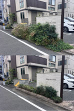立川市で剪定刈込する植木屋「纏造園」