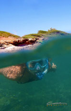 ELBA 2012