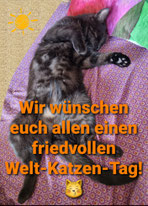Zum 08.08.2023