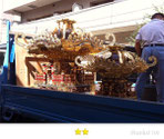 JPさん：牛嶋神社大祭