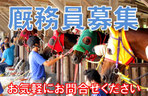 厩務員募集