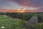 Houten brug