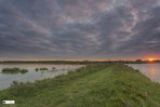 Biesbosch