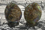 Shell Salt and Pepper Shakers Pair $12.50