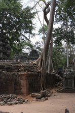 Ta Phrom