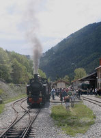 Vapeur sur le trajet du train des Pignes (2013)