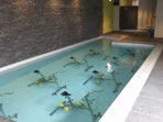 Aquabiking - Aquakiné Haversin