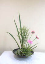 体験レッスン受講の方のお稽古花