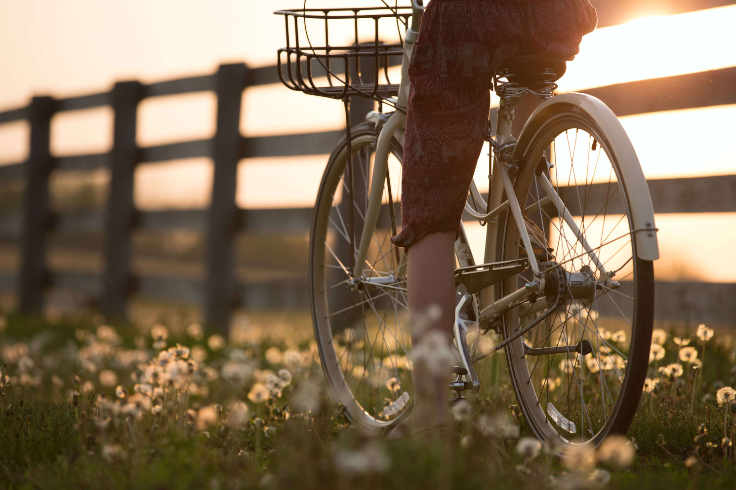 Fietsen in Gien