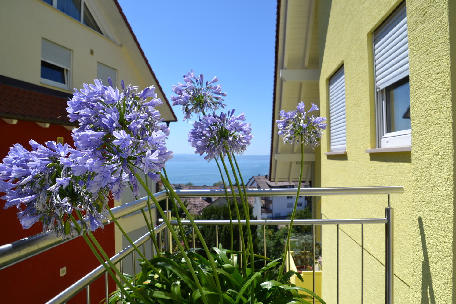 Ferienwohnung mit Seesicht in Meersburg am Bodensee