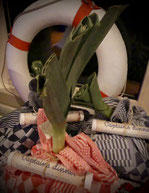organisatie themafeest boot, nautisch, maritiem met dresscode