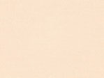  Latte 2494/345