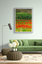 Photo of a living room with a green sofa and a Delphicaphoto fine art print of poppies in a meadow