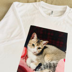 Ｔシャツ写真印刷