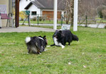 Ellie und Fenix