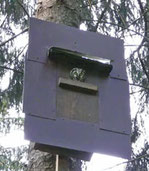 Bild 01c: Rauhfußkauz-Nistk. 