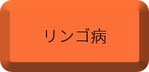 リンゴ病