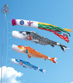 鯉のぼり 豪 プレミアムベランダスタンドセット - 伽楠（かなん）