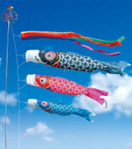 鯉のぼり 豪 プレミアムベランダスタンドセット - 伽楠（かなん）