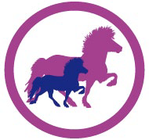 Élevages et ventes de chevaux