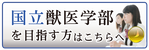 医歯薬専門予備校インフィア(HOME)