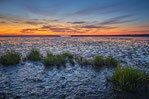 Wattenmeer (Bild: Hike in Glimpse)