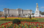 Buckingham Palace from gardens  (Bild: CC BY-SA 3.0)
