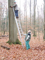 Nistkasten-AG bei der Arbeit im Schlosspark Rastede