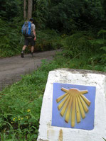 Fent camí per Astúries