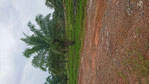 http://jp.fotolia.com/id/32235874 @NOBU