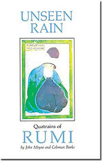 Unseen Rain