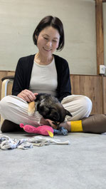 寝落ちした柴犬の子犬