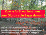 Gestion forêt Oloron 2022/2041_soucis.