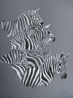 Zebras Gouache auf Tonpapier