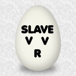 SLAVE.V-V-R やめろ！買うな！ SLAVE.V-V-R 1st mini album - slave-vvr 公式HP