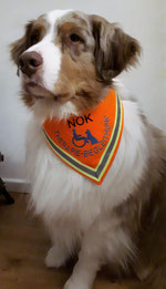 Halstuch, Behinderten Begleithund, Therapiehund,halsduk terapihund