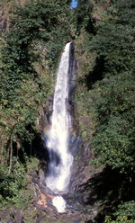 Wasserfall auf Dominica