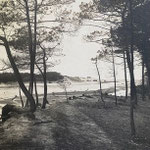 Émile Vignes Photographie Landes Côte D'argent Lande Contis Pays Basque