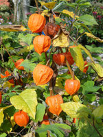 Oktober