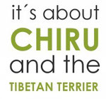 Der Tibet Terrier - it´s about Chiru + the tibetan terrier