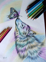 Bild: Virginia Sicardi