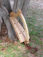 Brigid rest on an old cedar.