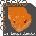 gecko-gecko