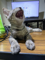 kfuki ページ！