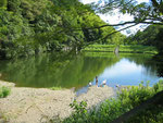 山原の池