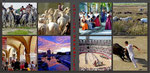 French coach's thematic holidays "French language & photography" holidays in Aigues-Mortes, south of France