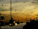 autumn and winter holidays in south of france